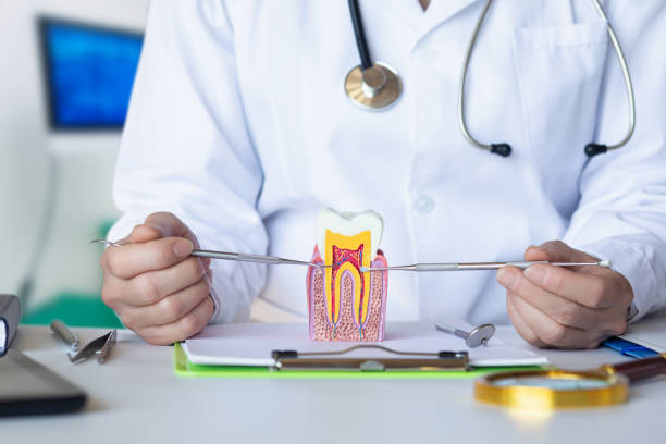 Best Emergency Treatment for Dental Infections or Abscesses in La Vernia, TX